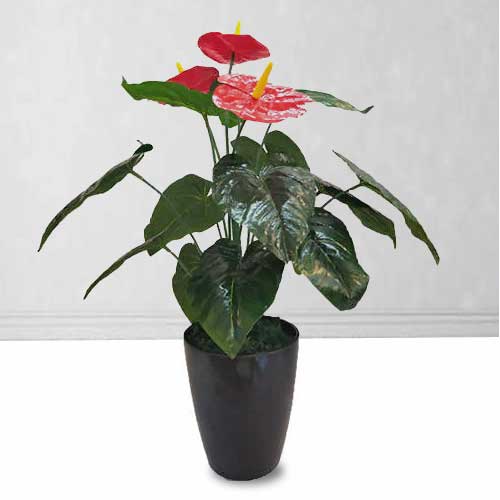 Artificial Anthurium-Presents For New House