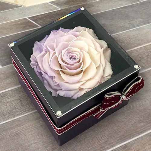 Everlasting Rose-Romantic Gifts To Send Her