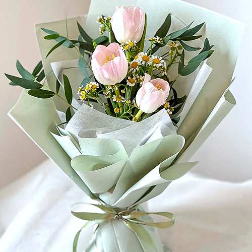 9 Stalk Tulips And Daisy-Apology Flowers For Girlfriend