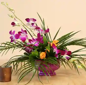 Flower Arrangements